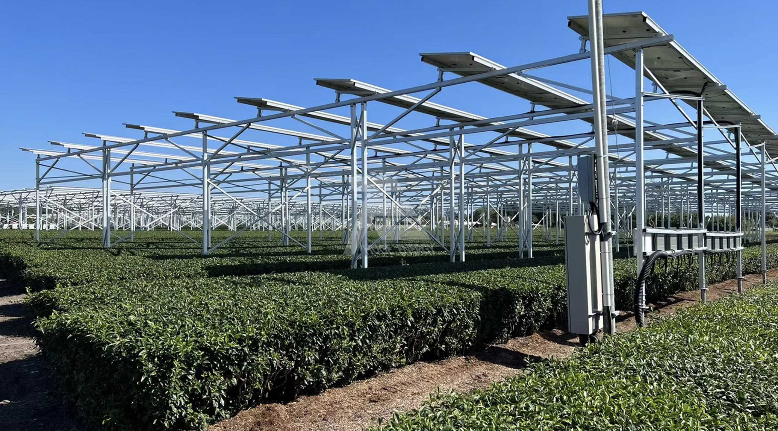 农业光伏支架系统