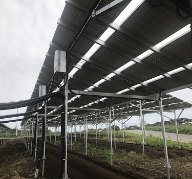 太阳能光伏农业架台，日本