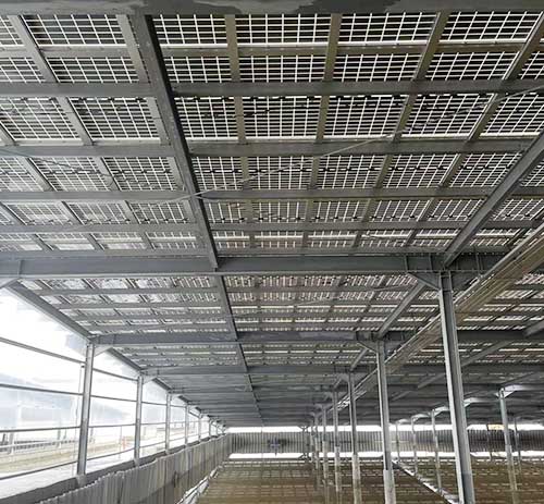 台湾南区渔电共生