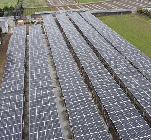 台湾鸡电共生光伏