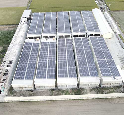 台湾柳营猪舍彩钢瓦屋顶光伏
